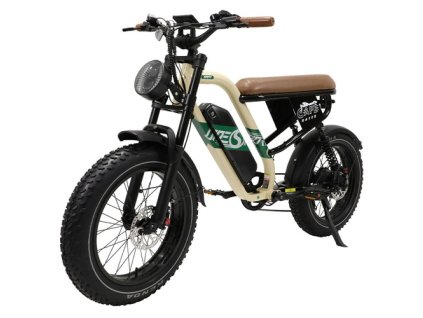 ONESPORT W66 Electric Bike, 500W Motor, 48V 13.5Ah Battery, 20*4.0 inch Tire, 25km/h Max Speed, 100km Range, Front & Rear Hydraulic Disc Brakes, Shock Absorbing Front Fork, 7-speed Transmission