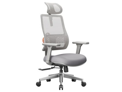 NEWTRAL MAGICH003 Ergonomic Office Chair, Auto-Following Backrest, Adaptive Lower Back Support, Adjustable Headrest Seat Depth, 3D Armrest Recliner, 3 Positions to Lock, Gray