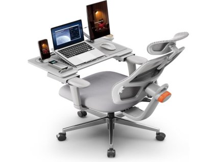 NEWTRAL MAGICH003 Ergonomic Office Chair with Detachable Workstation Desktop, Auto-Following Backrest, Adaptive Lower Back Support, Adjustable Headrest Seat Depth, 3D Armrest Recliner, 3 Positions to Lock, Gray