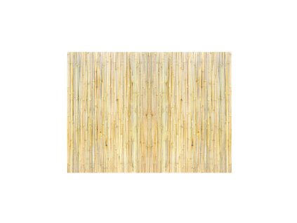 Rolovaný bambusový plot prírodný 4 ft × 6 ft × 0.75 in pre balkón