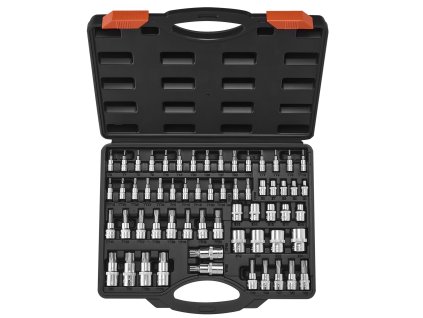 Sada Torx bitov a vonkajších hlavíc 60 dielov T6–T70, 1/4,3/8,1/2 in