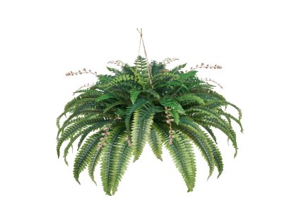 Umelá bostonská papraď, priemer rozprestretia 37–41 inch, 80 vetiev