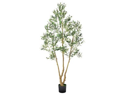 Umelý olivovník 210 cm s čiernym kvetináčom, realistické listy a plody