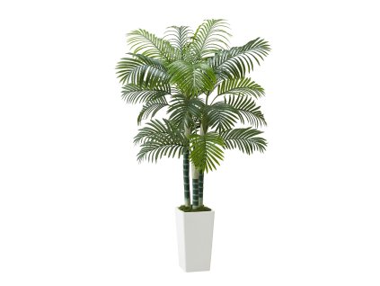 Umelá areková palma 1829 mm, podlahová rastlina v bielom kvetináči
