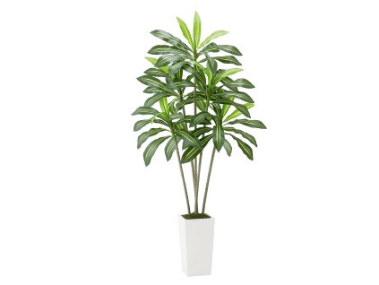 Umelá dracena 1829 mm s bielym vysokým kvetináčom do interiéru
