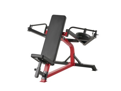 Lavica na rozpažovanie a zadné delty, nastaviteľná, nosnosť 450 LBS