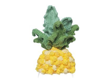 Pletený kostým pre Loona Premium Pineapple