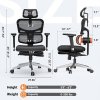 NEWTRAL NT002 Ergonomic Chair Adaptive Lower Back Support with Footrest 4 Recline Angle Adjustable Backrest Armrest Headrest 5 Positions to Lock Aluminum Alloy Base - Pro Version