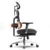 NEWTRAL NT002 Ergonomic Chair with Detachable Workstation Desktop, Adaptive Lower Back Support with Footrest, 4 Recline Angle, Adjustable Backrest Armrest Headrest, 5 Positions to Lock, Aluminum Alloy Base - Pro Version