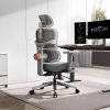 NEWTRAL NT002 Ergonomic Chair with Detachable Workstation Desktop, Adaptive Lower Back Support, Adjustable Armrest Headrest Footrest, Gray