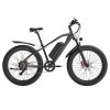 GOGOBEST GF600 Plus Electric Bike, 1000W Motor, 48V 20Ah, 26*4.0 inch Tires, 45km/h Max Speed, 150km Range, Hydraulic Disc Brake, Oil Spring Suspension, Shimano 7-speed - Black Grey