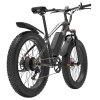 GOGOBEST GF600 Plus Electric Bike, 1000W Motor, 48V 20Ah, 26*4.0 inch Tires, 45km/h Max Speed, 150km Range, Hydraulic Disc Brake, Oil Spring Suspension, Shimano 7-speed - Black Grey