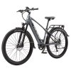 PURE UNICORN U6 Electric Bike, 500W Motor, 48V 14Ah Battery, 29 inch Tires, 35km/h Max Speed, 70km Range, Dual Hydraulic Brakes, Front Air Suspension, LCD Display, 9-speed Transmission - Grey