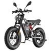 Fafrees F20 Ultra Electric Bike (Brake Upgraded Version), 750W Motor, 48V 25Ah Battery, 20*5.0 inch Fat Tires, 140km Max Range, Mechanical Disc Brakes, Hydraulic Suspension, Shimano 7-speed - Gunmetal Black