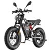 Fafrees F20 Ultra Electric Bike (Brake Upgraded Version), 750W Motor, 48V 25Ah Battery, 20*5.0 inch Fat Tires, 140km Max Range, Mechanical Disc Brakes, Hydraulic Suspension, Shimano 7-speed - Black