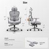 NEWTRAL NT002 Ergonomic Chair, Adaptive Lower Back Support, Adjustable Armrest Headrest Footrest, Gray