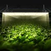 Led rastové svetlo 300W plné spektrum stmievateľné pre 3×3/4×4 ft stan
