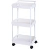 Pojazdný 3-poschodový vozík s úchytom a uzamykacími kolieskami, biely