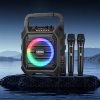 Karaoke reproduktor 20W 6.5-inch s 2 bezdrôtovými mikrofónmi