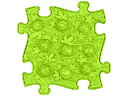 855 12 chestnuts lime w01