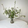 Latkove baleni off white_melianna