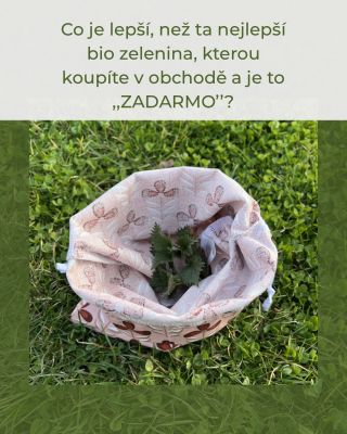 Lék na jarní únavu? ➡️ Čerstvý vzduch, slunce a jarní bylinky. 🌱☀️ A kde je najdete? Stačí se při procházce dívat kolem...