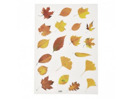 Plastové samolepky, vzor - podzimní listy