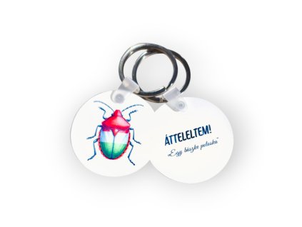 attelelt-poloska-egyedi-kulcstarto