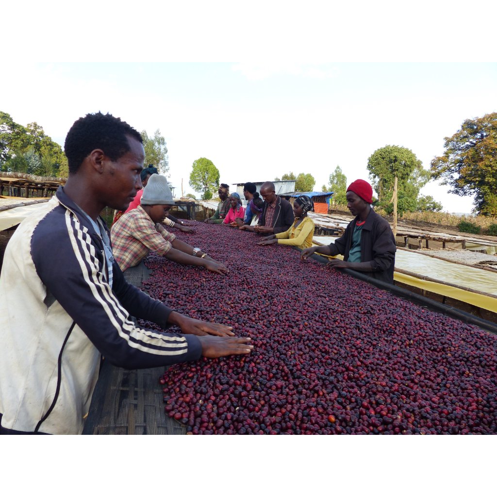 coba suke 52483726455 o