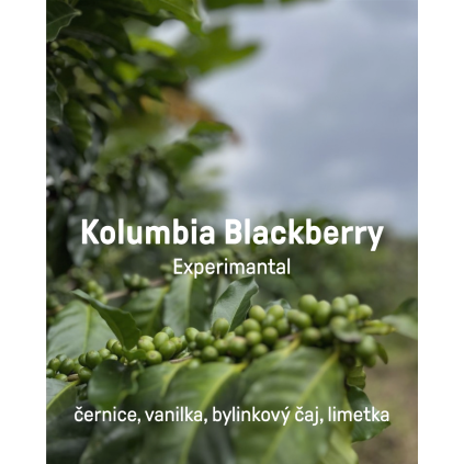 blackberry
