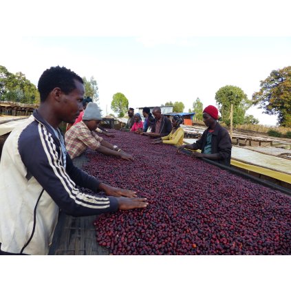 coba suke 52483726455 o