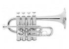 Piccolo trumpety