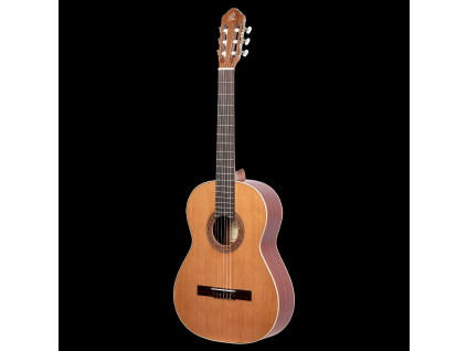 Ortega R200L