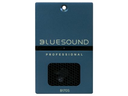 Bluesound Professional B170S