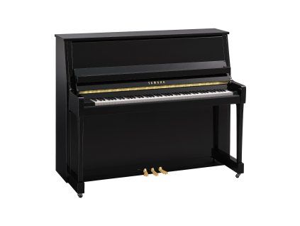 B30PE 01