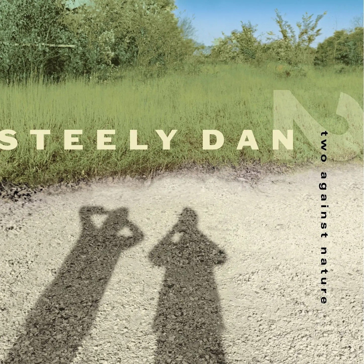 Steely Dan - Two Against Nature, 45 RPM Vinyl Record