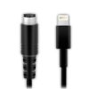 IK Multimedia Lightning to Mini-DIN cable