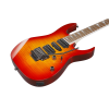 RG470DXFM CS 06