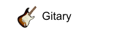 Gitary