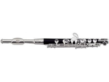 GEWA Piccolo flute Roy Benson PC-502 PC-502