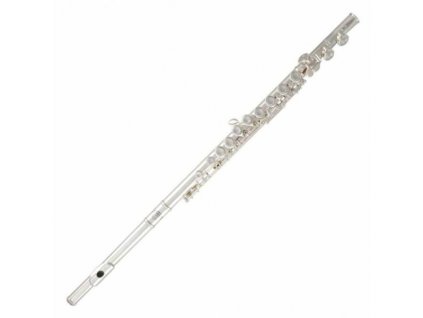 GEWA Flute Roy Benson FL-602E