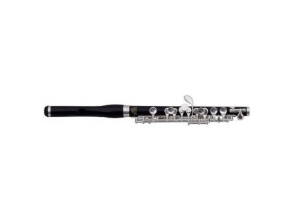 GEWA Piccolo flute Roy Benson PC-602 PC-602