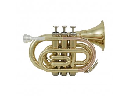GEWA Bb-Pocket trumpet Roy Benson PT-101 PT-101