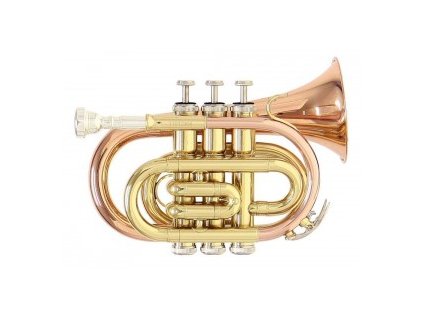GEWA Bb-Pocket trumpet Roy Benson PT-101G PT-101G