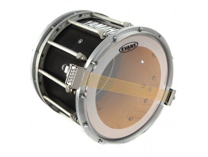 Evans 14'' MSR March Snare Side Clear