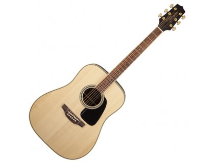 Takamine GD51-NAT