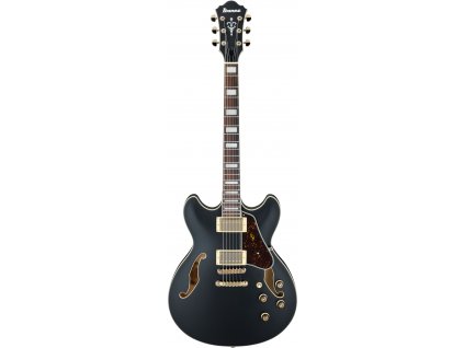 Ibanez AS73G-BKF