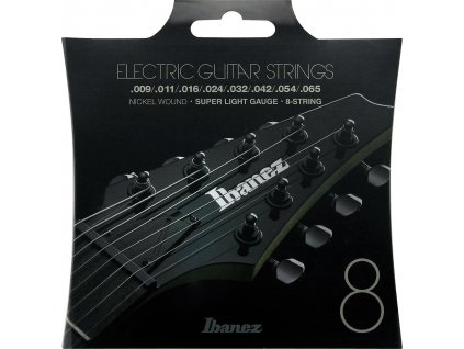 Ibanez IEGS8