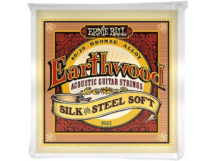 Ernie Ball Earthwood Silk & Steel Soft 80/20 Bronze Acoustic Guitar Strings