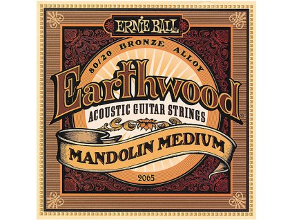 Ernie Ball Earthwood Mandolin Medium Loop End 80/20 Bronze Acoustic Guitar Strings